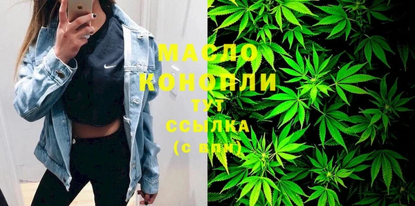 гашик Алексеевка