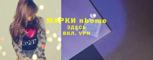 гашик Алексеевка