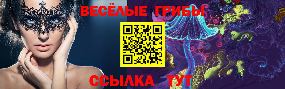 Галлюциногенные грибы прущие грибы  Псилоцибиновые грибы Psilocybe  Вход с VPN  Тында 